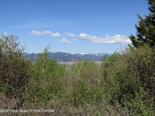 TBD1780 E 5250 S, Victor ID, 83455 land for sale