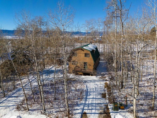 exterior space featuring a mountain view