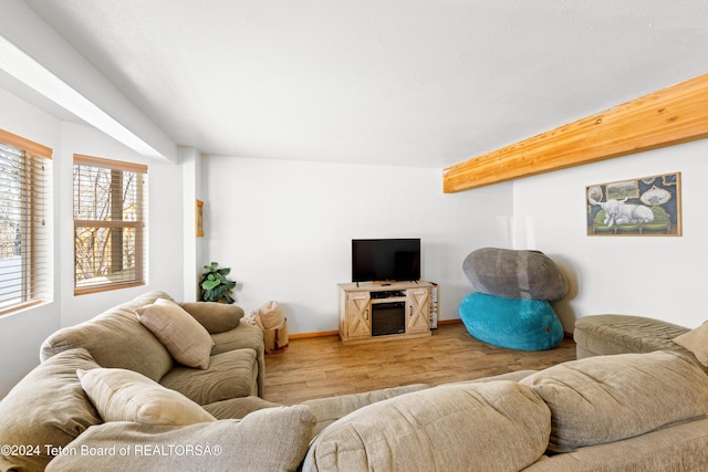 living room featuring wood-type flooring