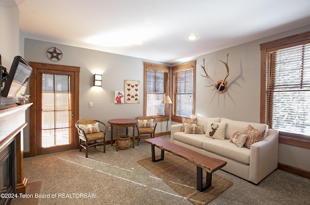 living room featuring light carpet and a healthy amount of sunlight