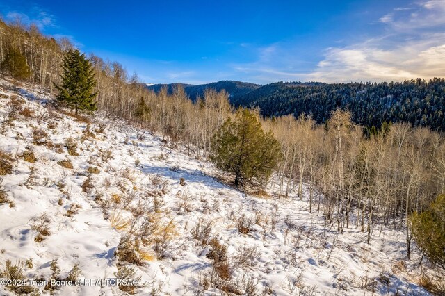 3040 Canyon Crest Dr, Victor, ID 83455 - photo 2
