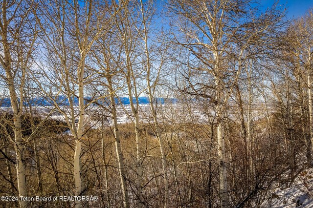 3040 Canyon Crest Dr, Victor, ID 83455 - photo 3