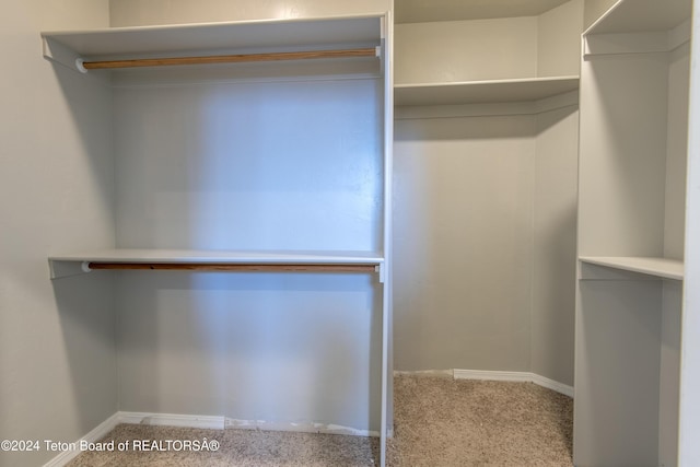 walk in closet with light carpet