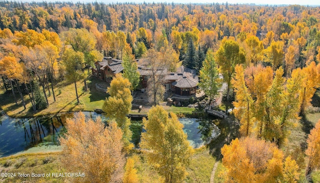 drone / aerial view with a water view