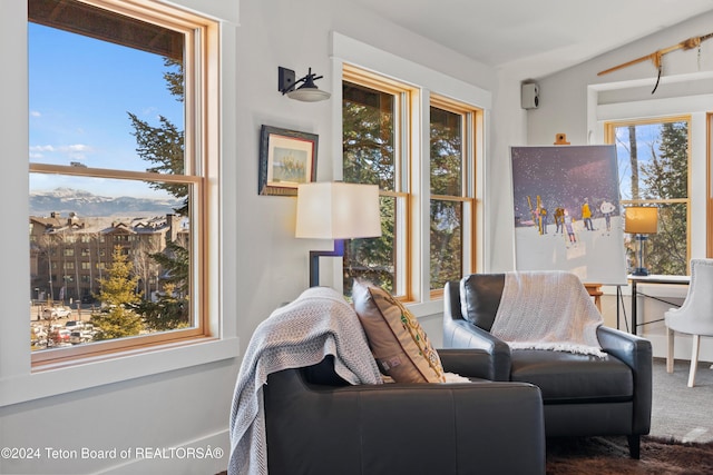 3470 W Mccollister Dr, Teton Village, WY 83025 - living area with carpet