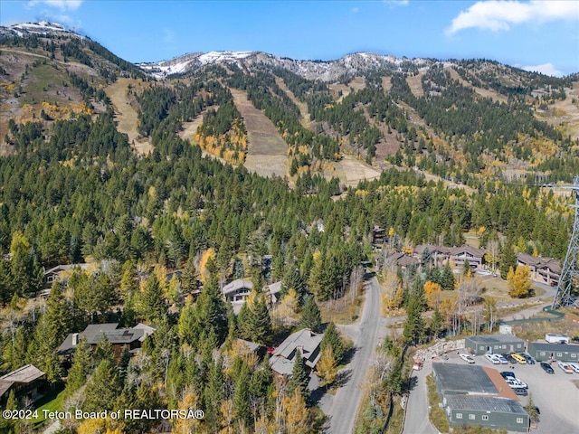 3470 W Mccollister Dr, Teton Village, WY 83025 - mountain view with a heavily wooded area