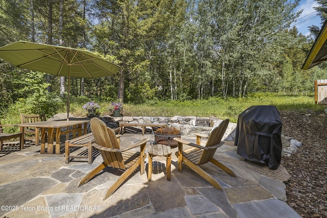 3470 W Mccollister Dr, Teton Village, WY 83025 - view of patio with a fire pit and grilling area