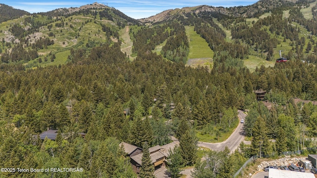 3470 W Mccollister Dr, Teton Village, WY 83025 - view of mountain background with a heavily wooded area