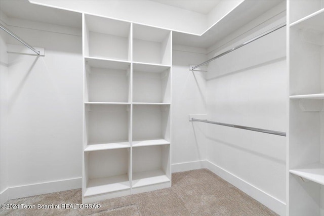 walk in closet with carpet flooring