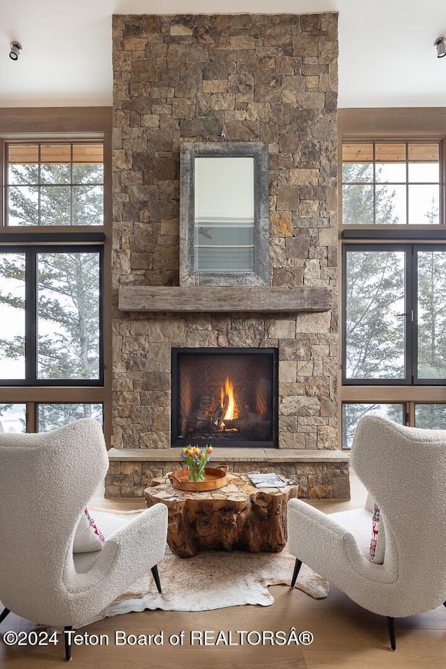 living area featuring a fireplace and plenty of natural light