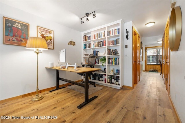 interior space with wood-type flooring