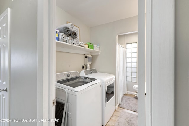 laundry area featuring light wood-type flooring and independent washer and dryer