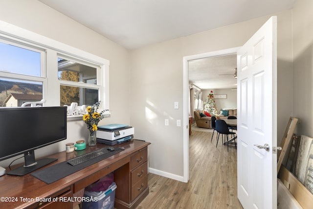 office area featuring light wood-type flooring and ceiling fan