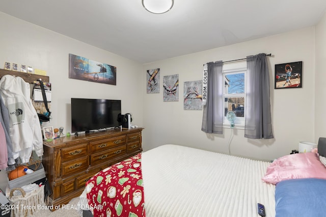 407 N 1st St, Dubois, WY 82513 - view of bedroom