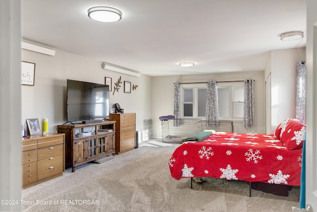 bedroom featuring carpet flooring