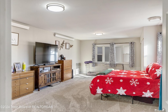 407 N 1st St, Dubois, WY 82513 - view of carpeted bedroom