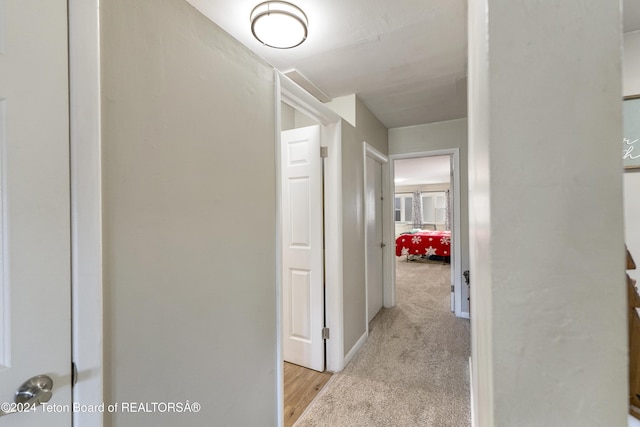 407 N 1st St, Dubois, WY 82513 - hall featuring light colored carpet