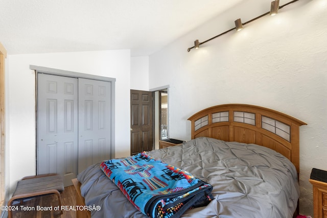 bedroom featuring wood-type flooring, vaulted ceiling, and a closet