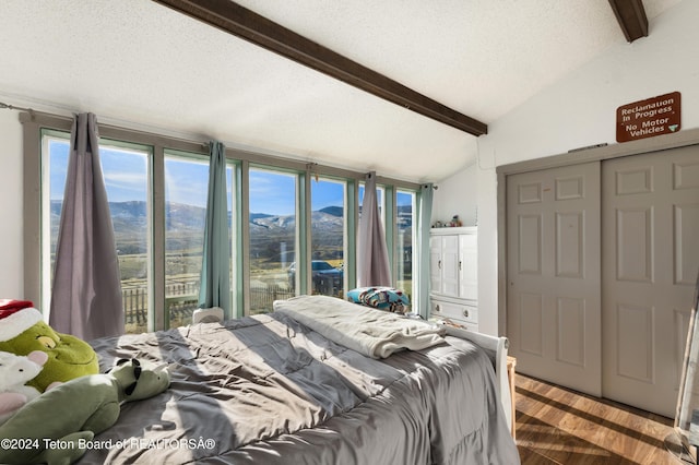 621 Mountain View Dr, Dubois, WY 82513 - bedroom with wood finished floors, a mountain view, access to outside, a textured ceiling, and floor to ceiling windows