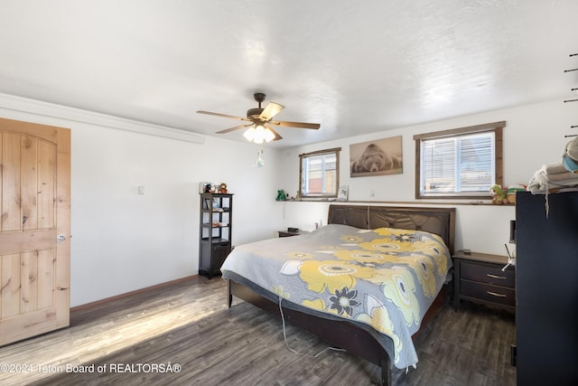 bedroom featuring multiple windows, ceiling fan, and dark wood-type flooring