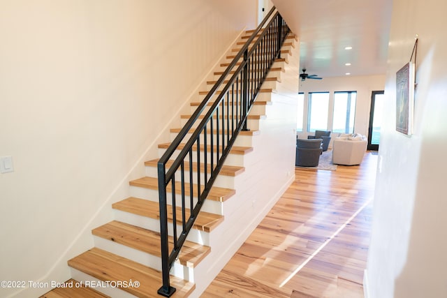 staircase featuring hardwood / wood-style flooring and ceiling fan