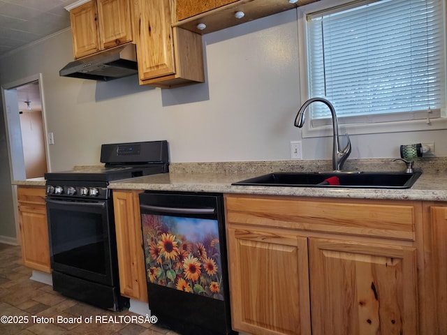 kitchen featuring crown molding, sink, and black appliances