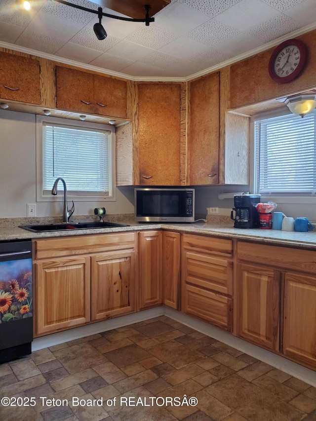 kitchen featuring dishwasher, ornamental molding, and sink