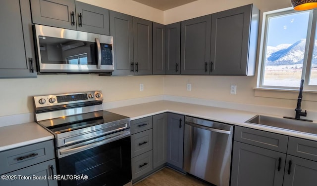 kitchen with a sink, stainless steel appliances, light countertops, and gray cabinetry