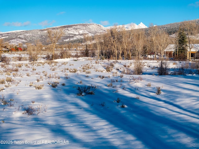 S 5500, Victor, ID 83455 - photo 28