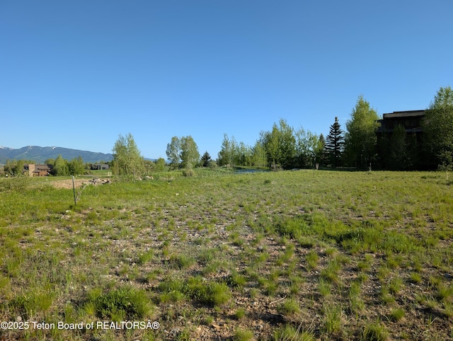 10 Riparian Dr, Victor, ID 83455 - photo 8