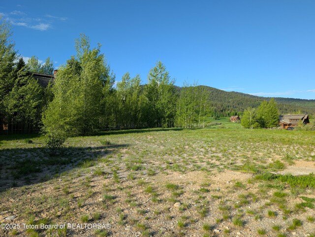 10 Riparian Dr, Victor, ID 83455 - photo 9