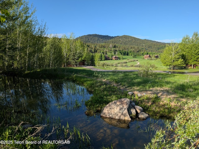 10 Riparian Dr, Victor, ID 83455 - photo 10