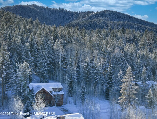 42 Blackfoot Trl, Victor, ID 83455