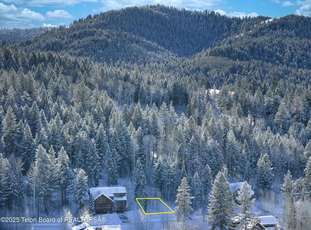 42 Blackfoot Trl, Victor, ID 83455