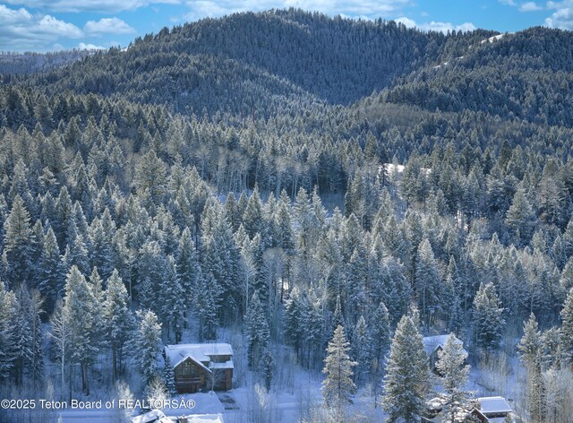 42 Blackfoot Trl, Victor, ID 83455