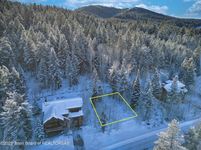 42 Blackfoot Trl, Victor, ID 83455