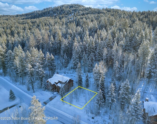 42 Blackfoot Trl, Victor, ID 83455