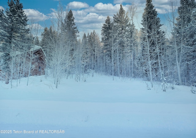 42 Blackfoot Trl, Victor, ID 83455