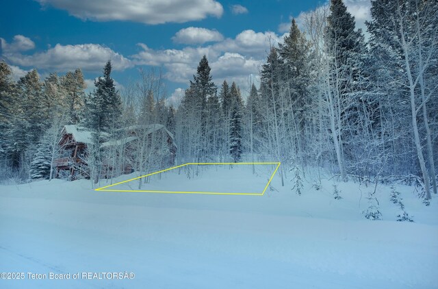 42 Blackfoot Trl, Victor, ID 83455