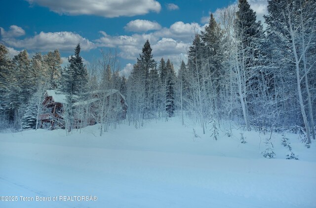 42 Blackfoot Trl, Victor, ID 83455