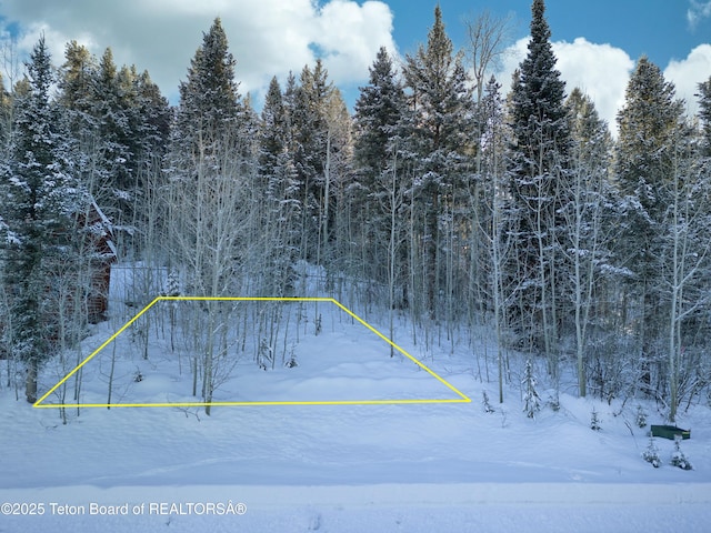 42 Blackfoot Trl, Victor, ID 83455