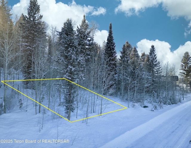 42 Blackfoot Trl, Victor, ID 83455