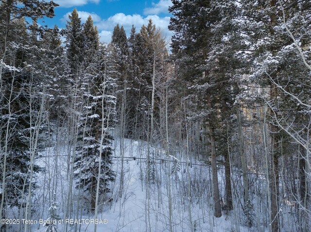 42 Blackfoot Trl, Victor, ID 83455