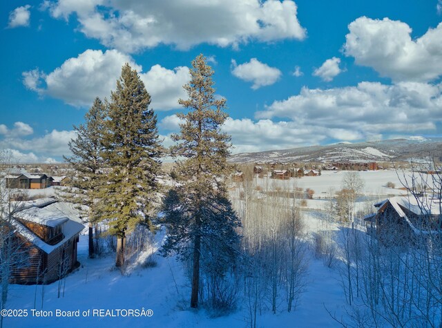 42 Blackfoot Trl, Victor, ID 83455
