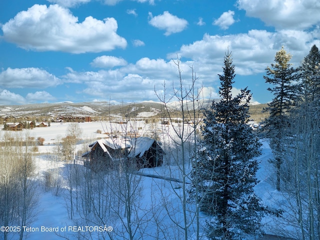 42 Blackfoot Trl, Victor, ID 83455