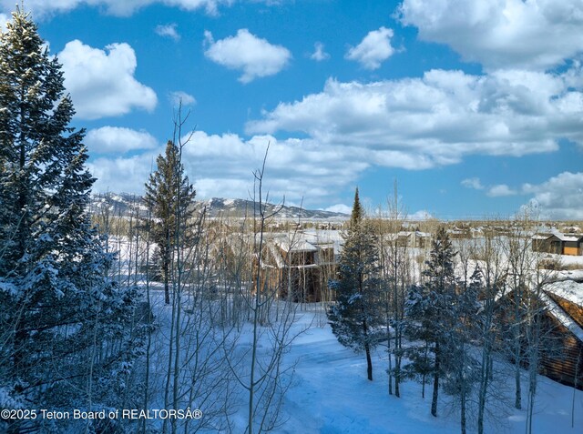 42 Blackfoot Trl, Victor, ID 83455