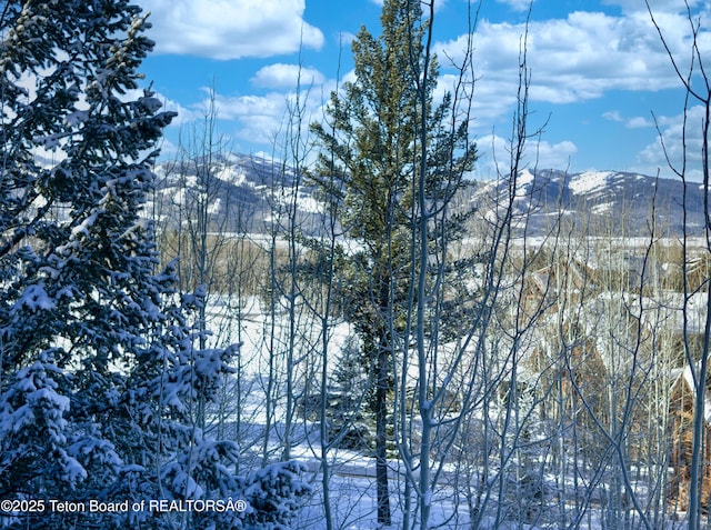 42 Blackfoot Trl, Victor, ID 83455