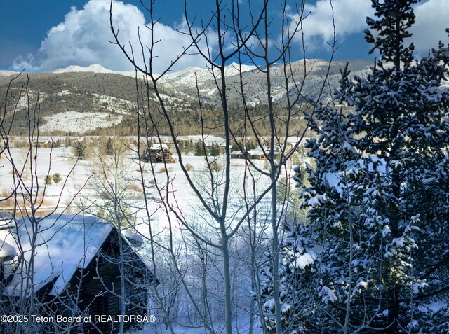 42 Blackfoot Trl, Victor, ID 83455