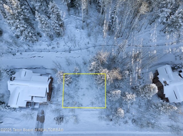 42 Blackfoot Trl, Victor, ID 83455