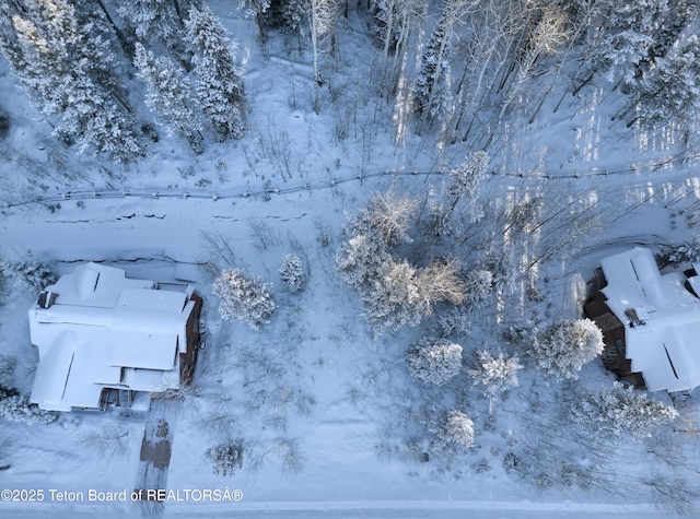 42 Blackfoot Trl, Victor, ID 83455